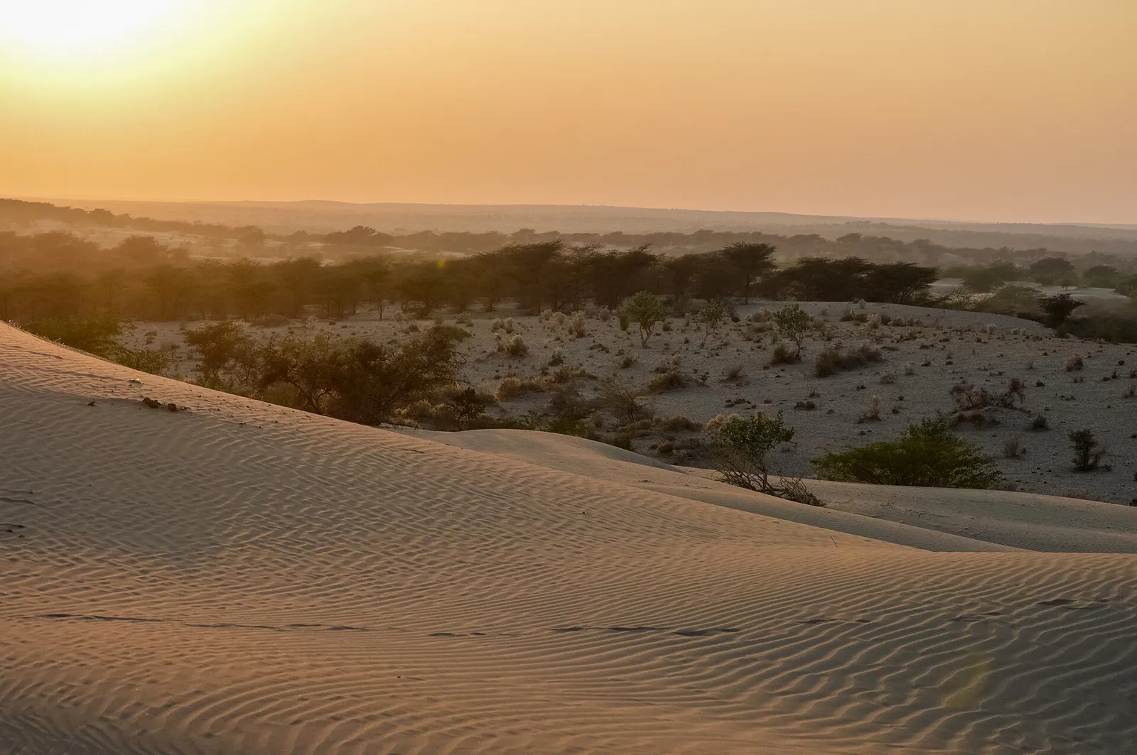 Sam Sand Dunes Jaisalmer
